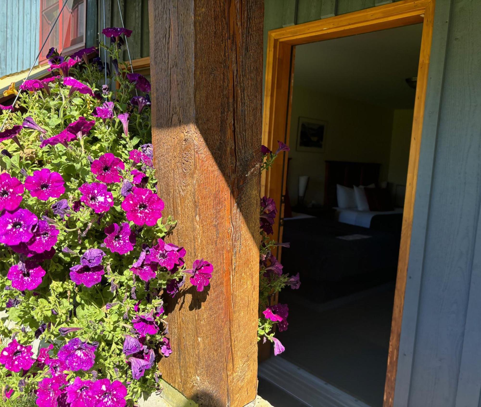 Truffle Pigs Lodge Field Zewnętrze zdjęcie